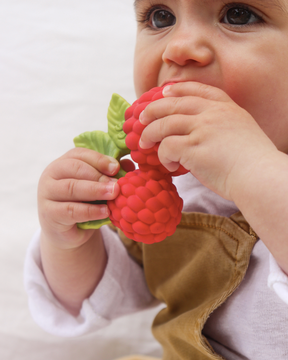 Valery the Raspberry