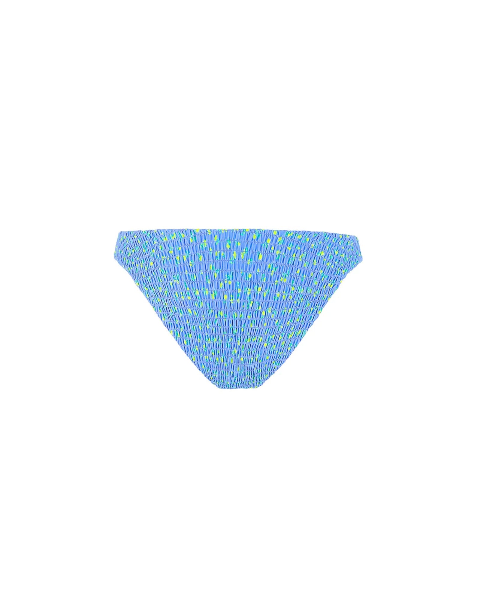 Shirred Minimal Full Coverage Bikini Bottom | Lemon Bloom