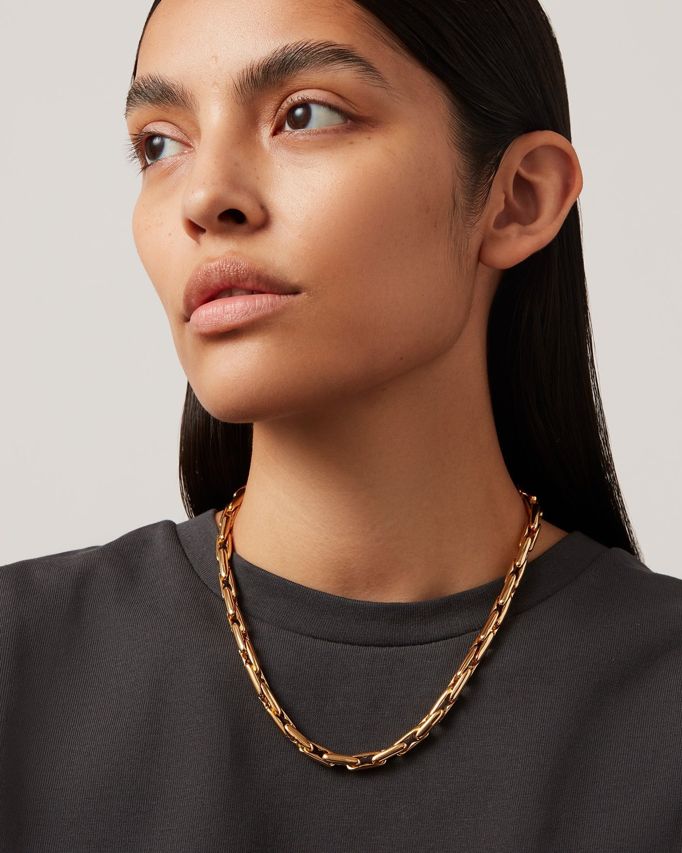 Alber Chain in Gold