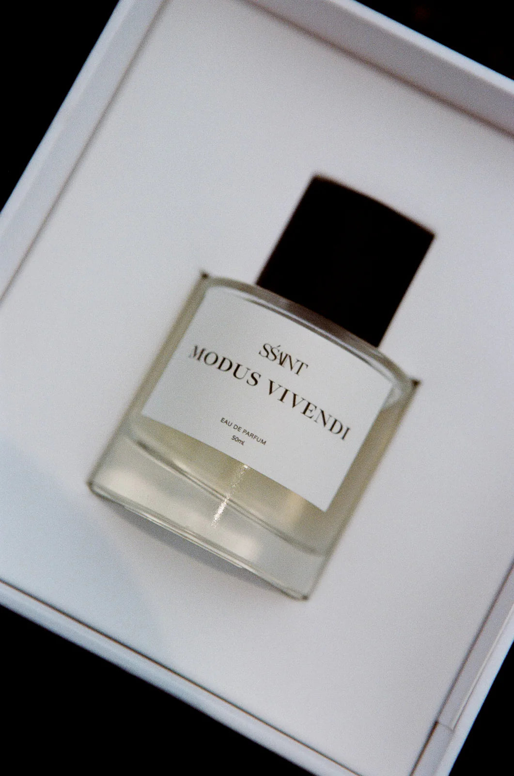 Modus Vivendi | 100 ML