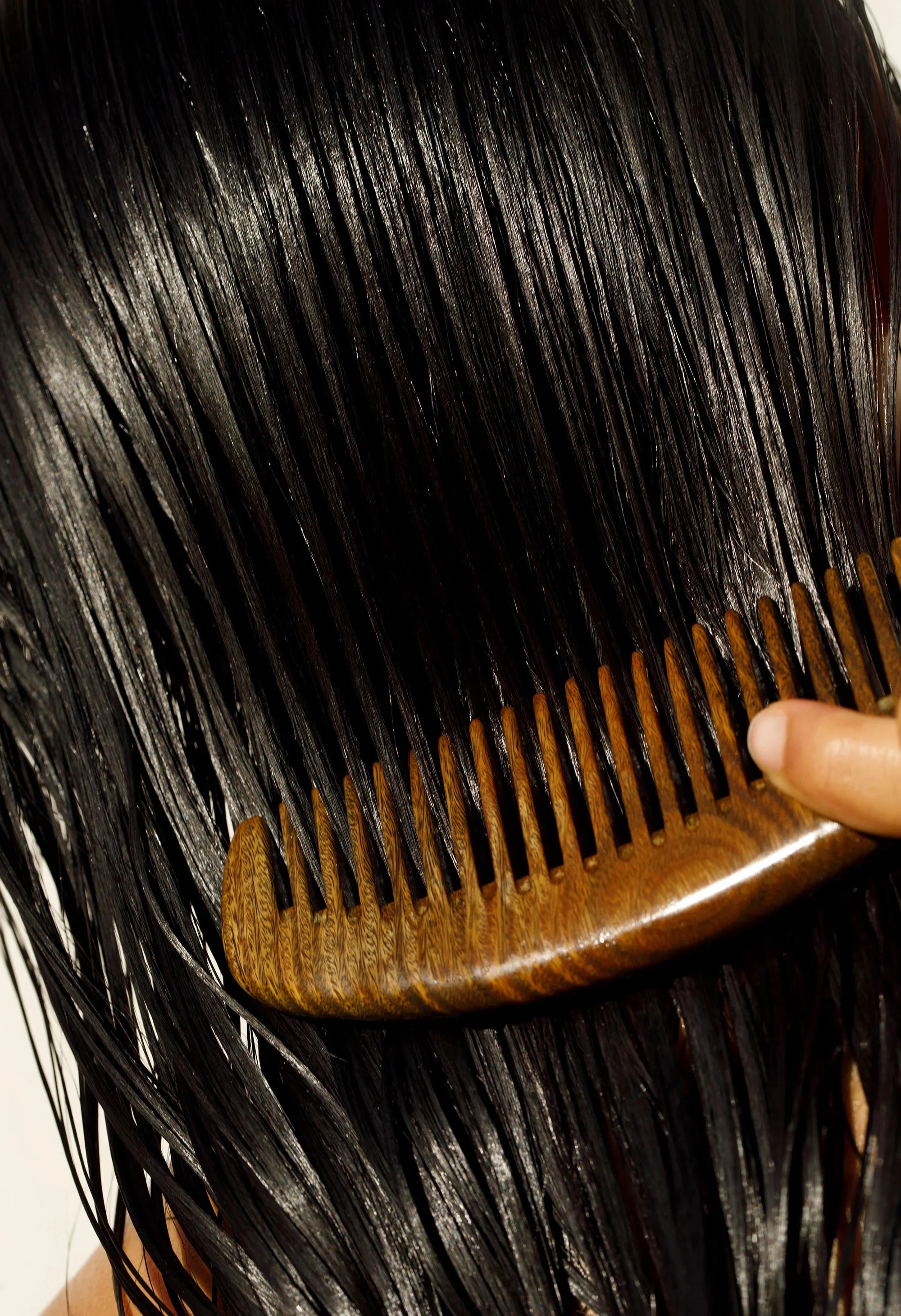 Willow Glen Treatment Oil