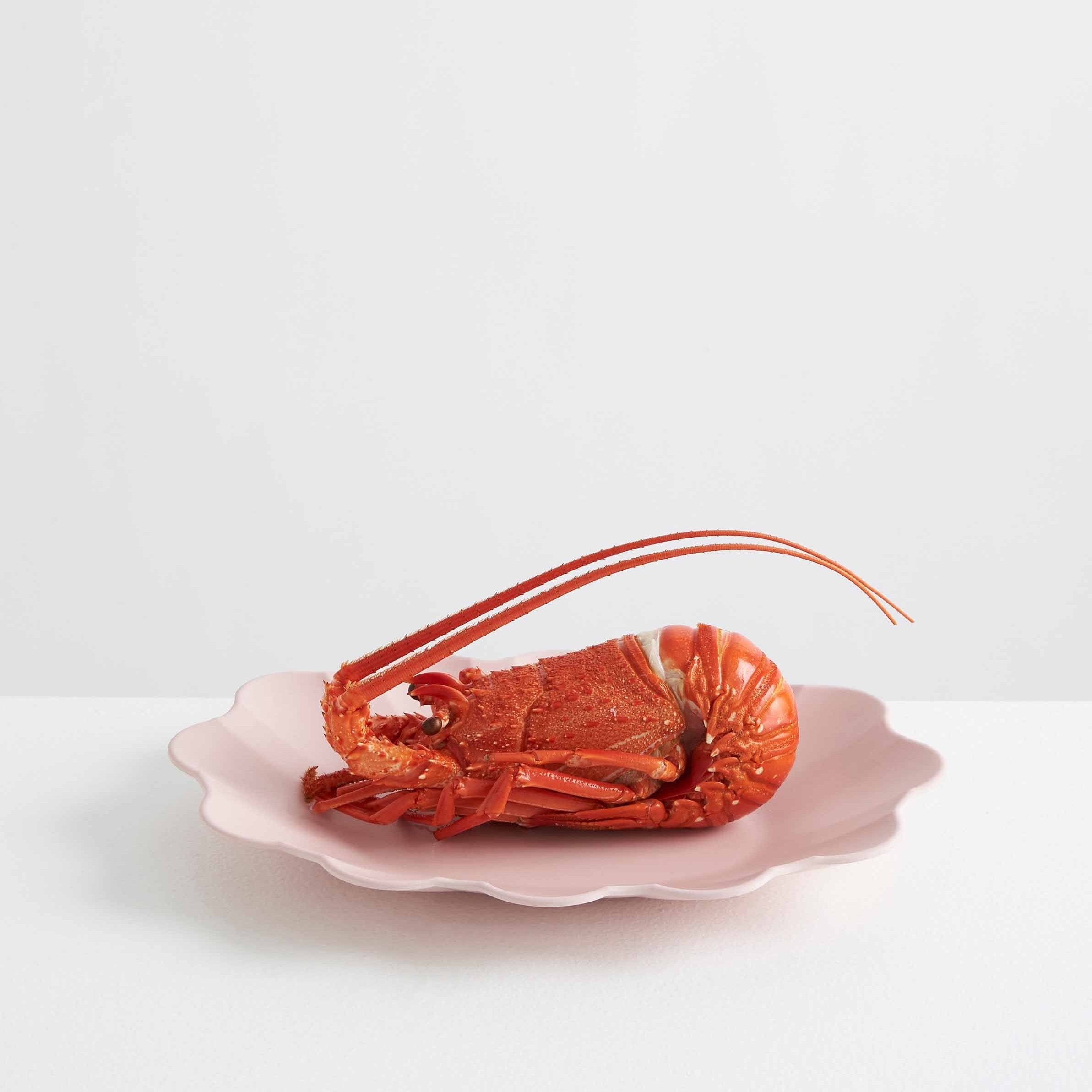 Scallop Platter | Pink
