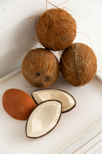 Coco the Coconut Baby Toy