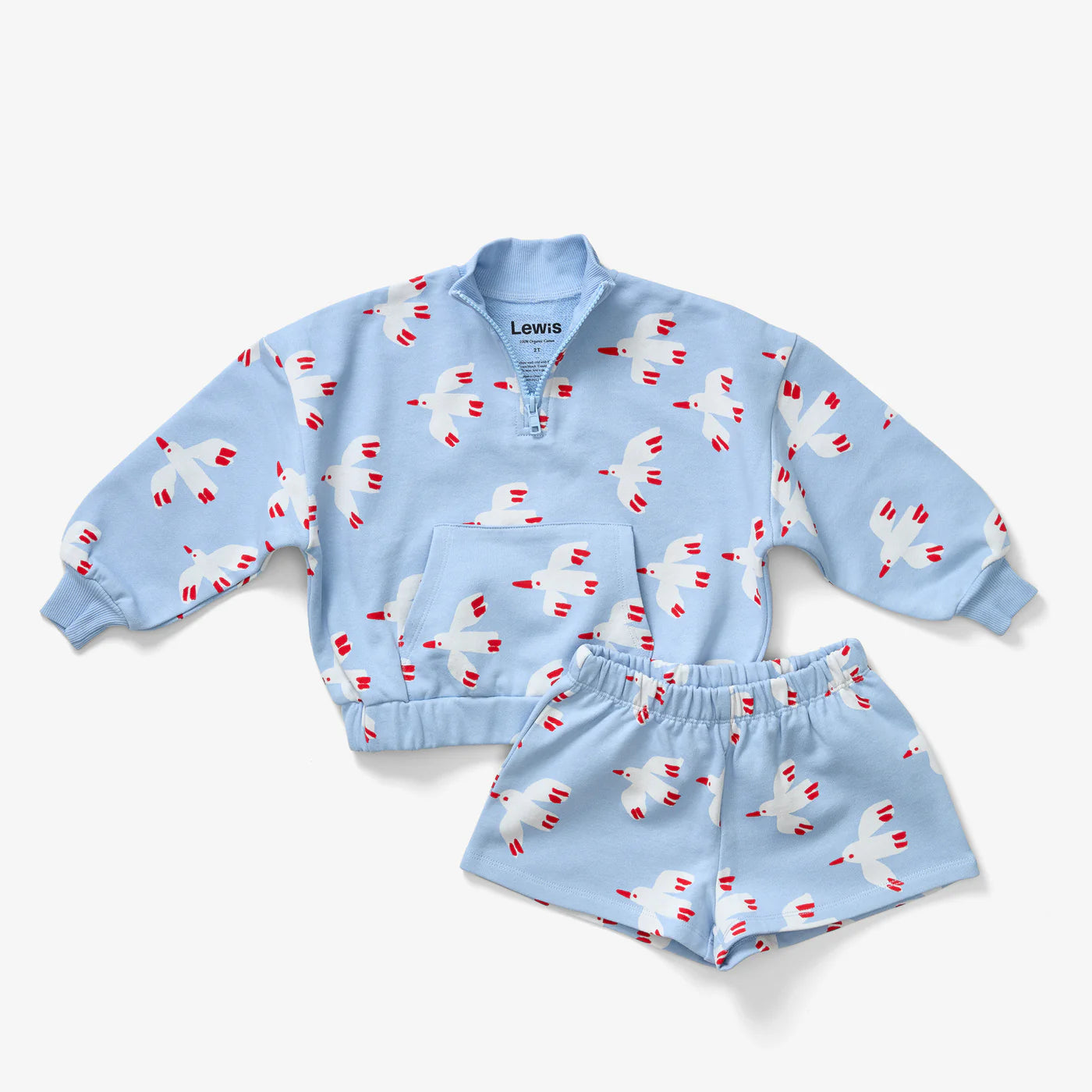 Kids Quarter Zip | Bird Sky