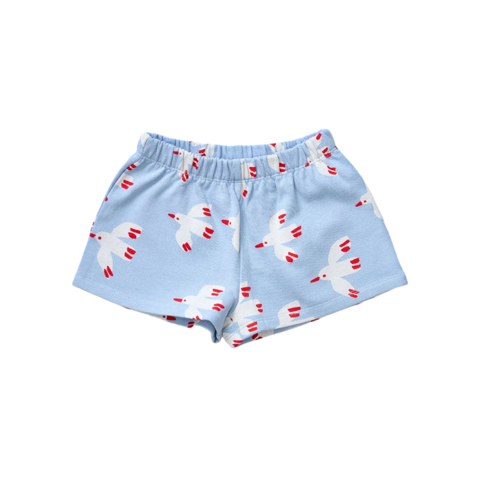 Kids Short | Bird Sky