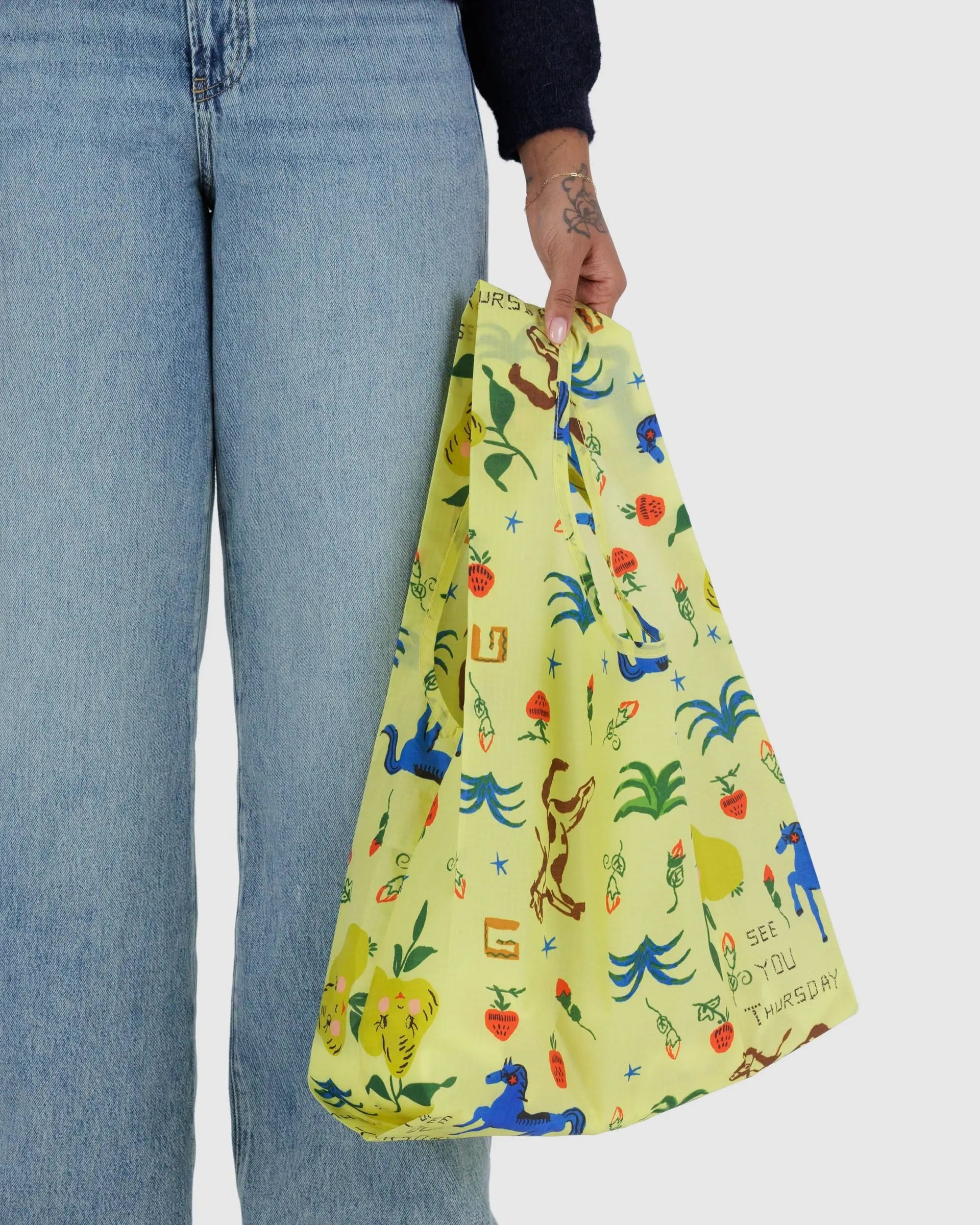 Standard Baggu | Painted Prairie