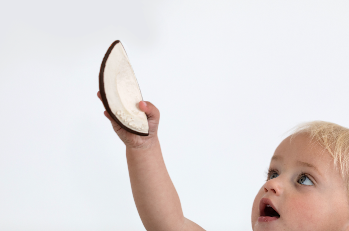 Coco the Coconut Baby Toy