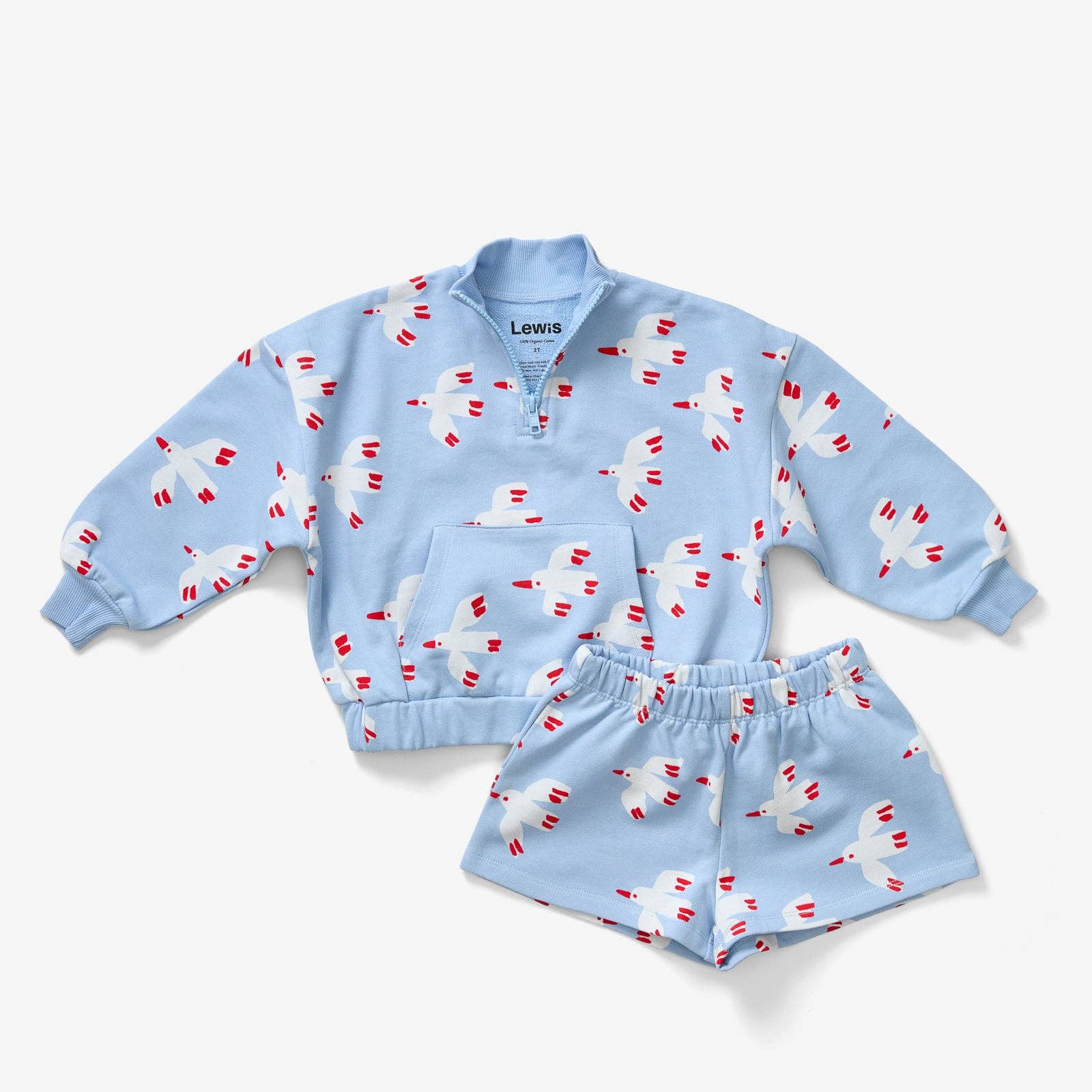 Kids Short | Bird Sky