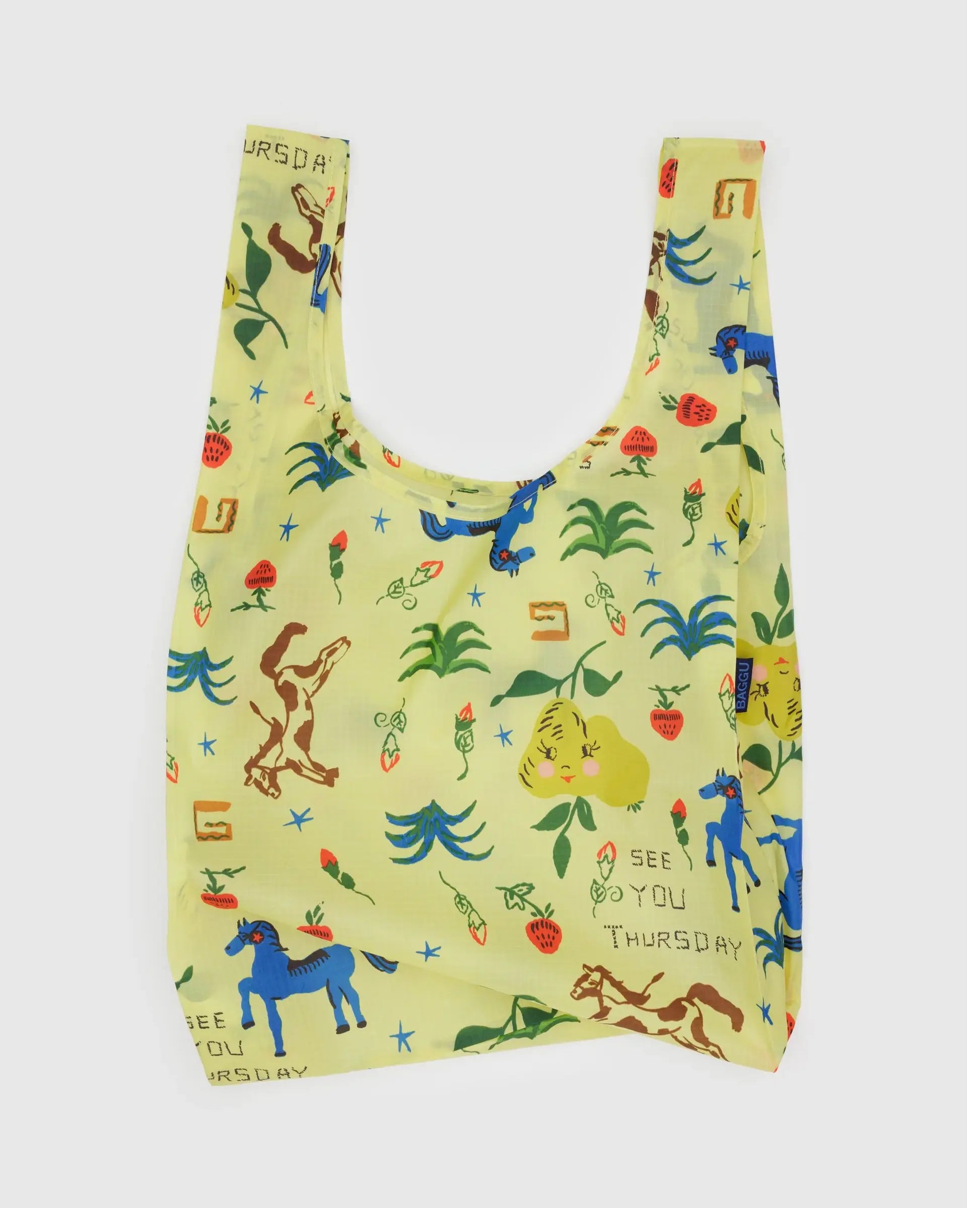 Standard Baggu | Painted Prairie